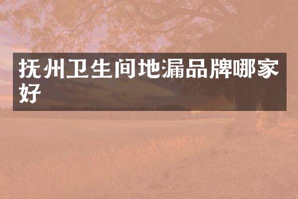 抚州卫生间地漏品牌哪家好