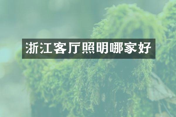 浙江客厅照明哪家好