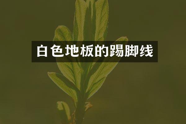 白色地板的踢脚线