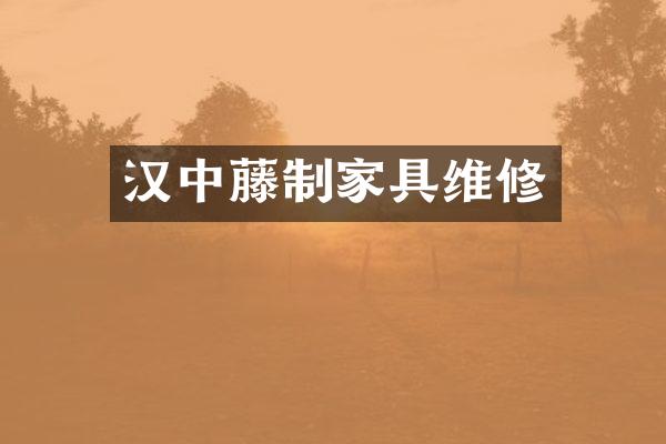 汉中藤制家具维修