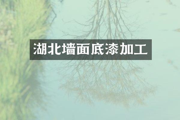 湖北墙面底漆加工