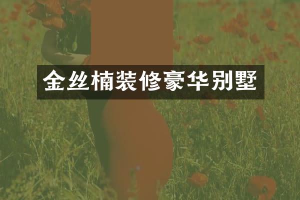 金丝楠装修豪华别墅