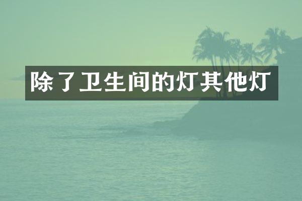 除了卫生间的灯其他灯