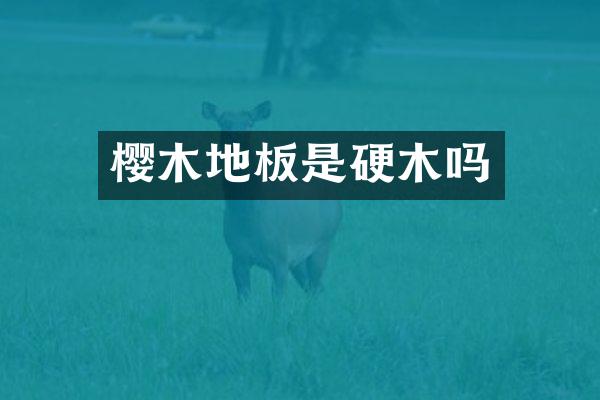 樱木地板是硬木吗