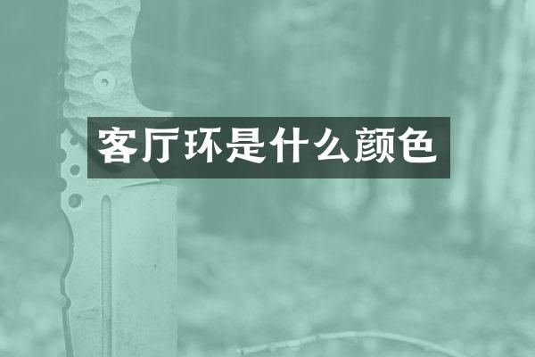 客厅环是什么颜色