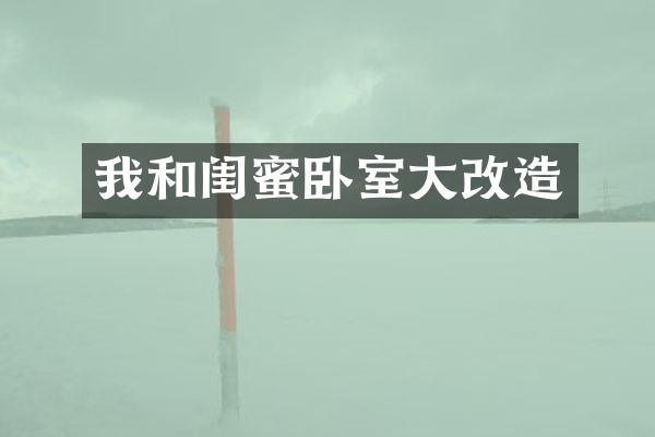 我和闺蜜卧室大改造
