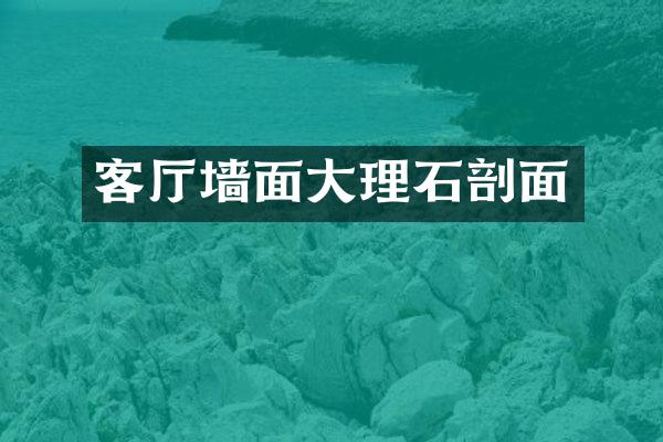 客厅墙面大理石剖面