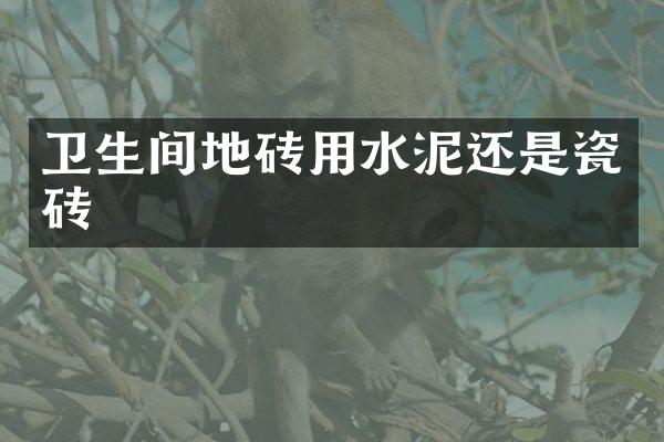卫生间地砖用水泥还是瓷砖
