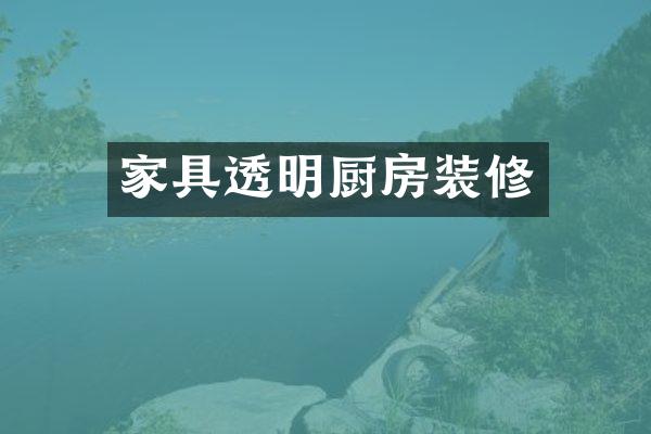 家具透明厨房装修