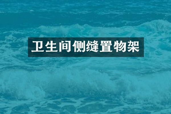 卫生间侧缝置物架