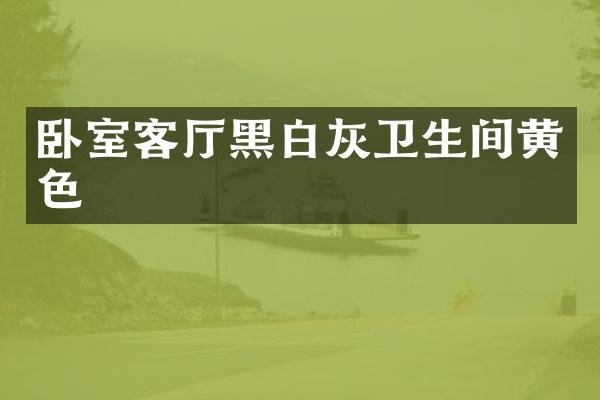 卧室客厅黑白灰卫生间黄色