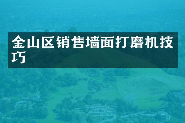 金山区销售墙面打磨机技巧