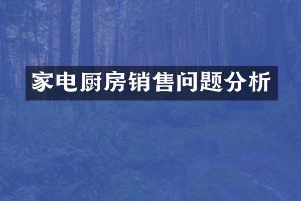 家电厨房销售问题分析