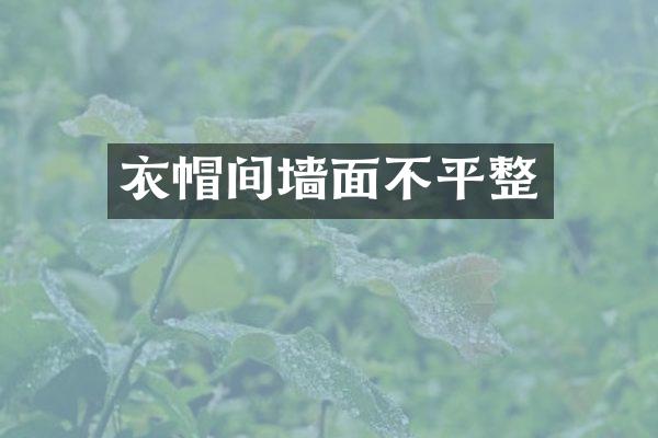衣帽间墙面不平整