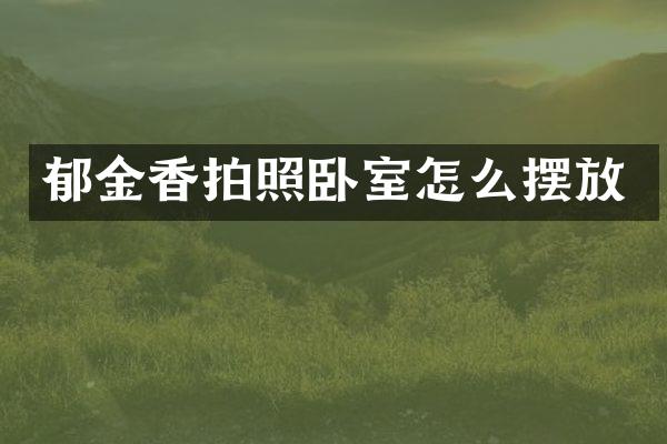 郁金香拍照卧室怎么摆放