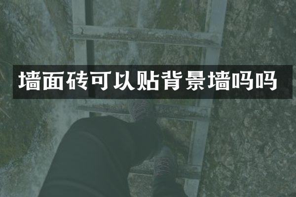 墙面砖可以贴背景墙吗吗