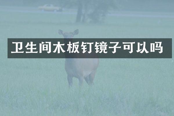卫生间木板钉镜子可以吗