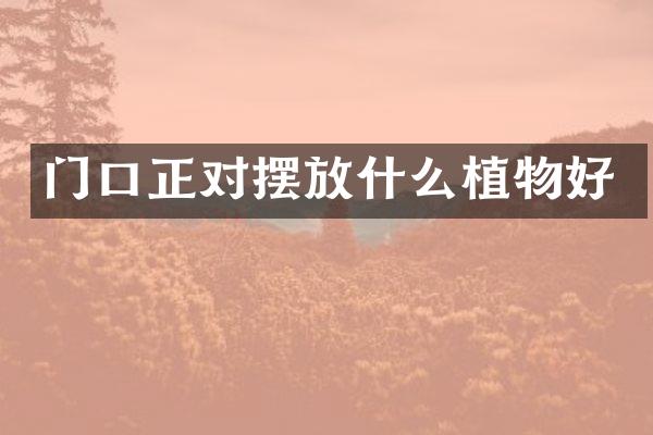 门口正对摆放什么植物好