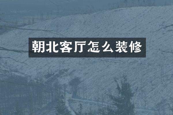 朝北客厅怎么装修