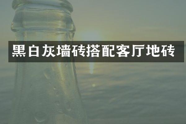 黑白灰墙砖搭配客厅地砖