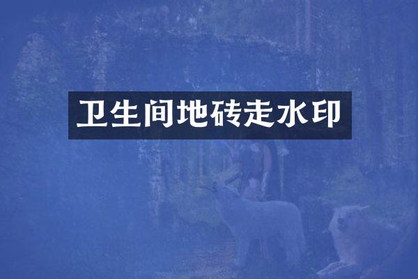 卫生间地砖走水印