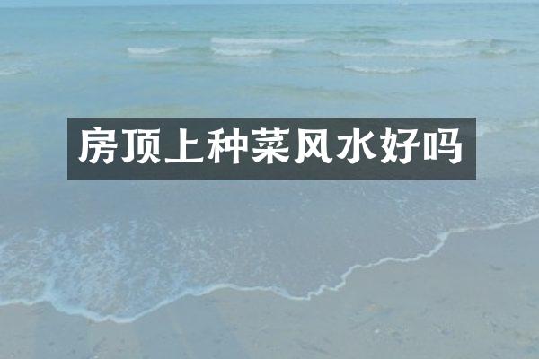 房顶上种菜风水好吗