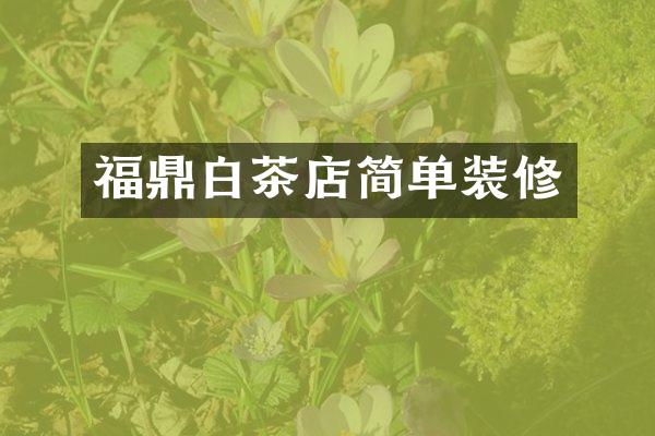 福鼎白茶店简单装修