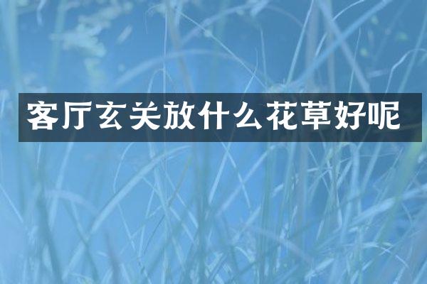 客厅玄关放什么花草好呢