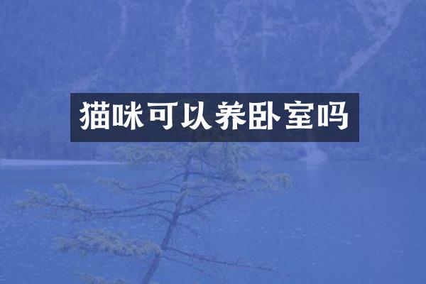 猫咪可以养卧室吗