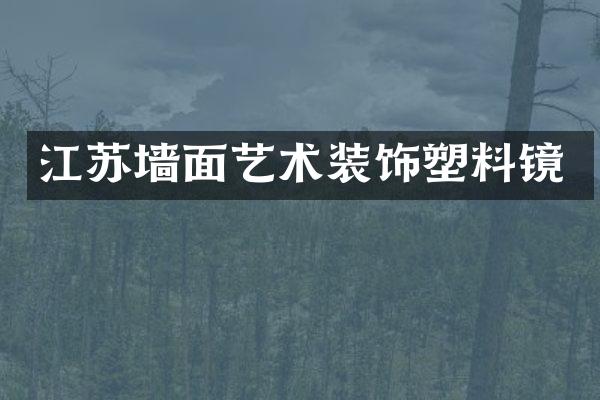 江苏墙面艺术装饰塑料镜