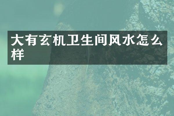 大有玄机卫生间风水怎么样