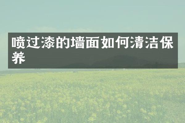 喷过漆的墙面如何清洁保养