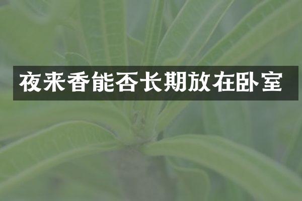夜来香能否长期放在卧室