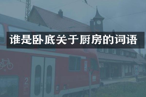 谁是卧底关于厨房的词语