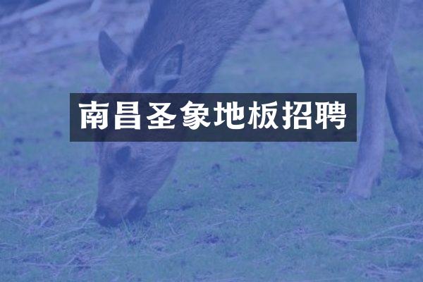 南昌圣象地板招聘