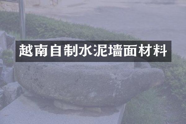 越南自制水泥墙面材料