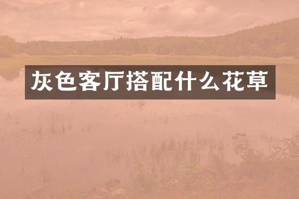 灰色客厅搭配什么花草