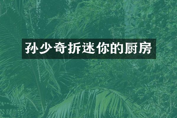 孙少奇拆迷你的厨房