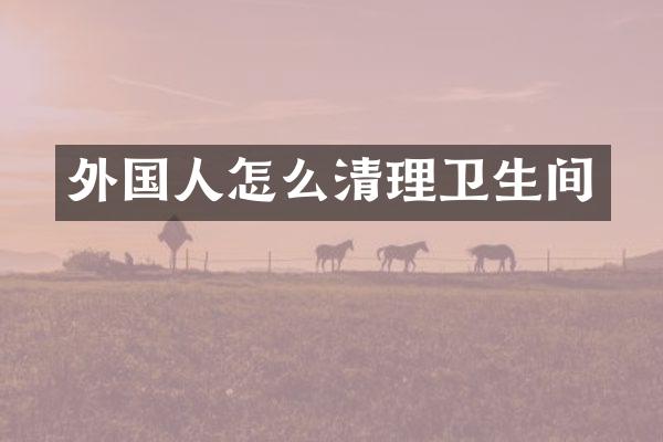 外国人怎么清理卫生间