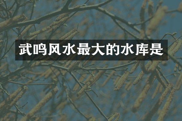 武鸣风水最大的水库是