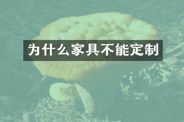 为什么家具不能定制