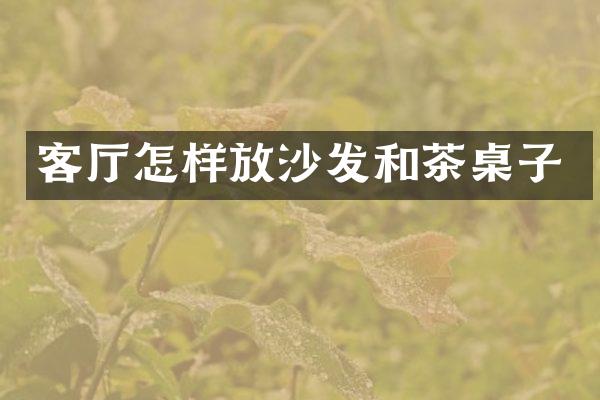 客厅怎样放沙发和茶桌子
