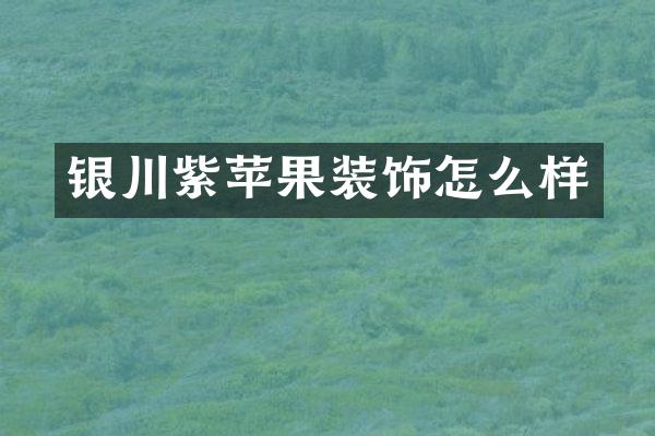 银川紫苹果装饰怎么样