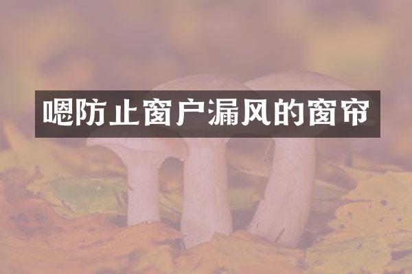 嗯防止窗户漏风的窗帘