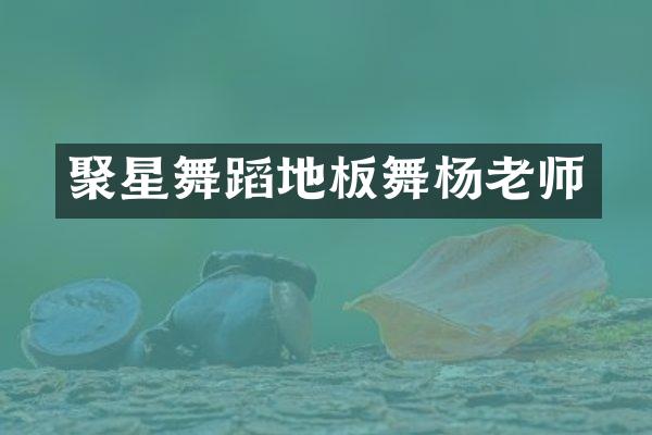 聚星舞蹈地板舞杨老师