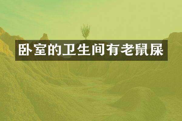 卧室的卫生间有老鼠屎