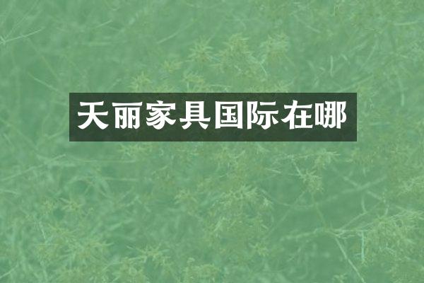 天丽家具国际在哪