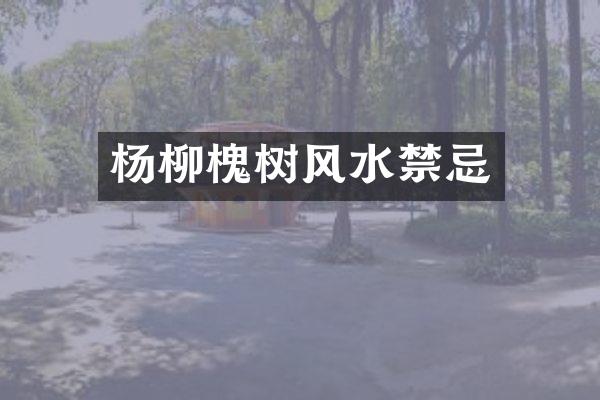 杨柳槐树风水禁忌