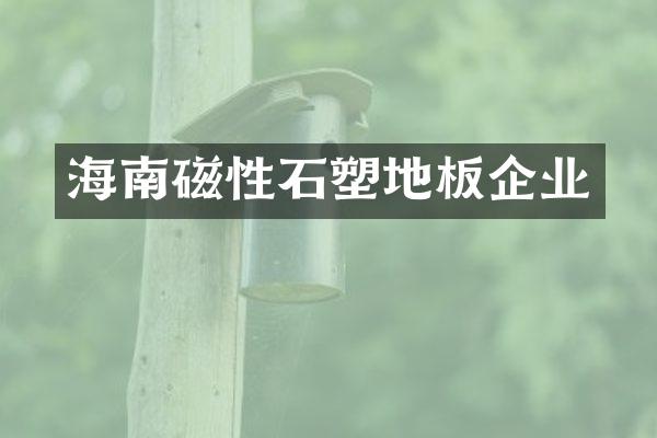 海南磁性石塑地板企业