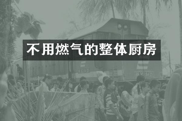 不用燃气的整体厨房